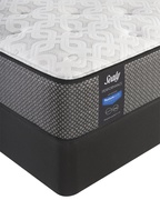 Sealy Response Performance Benish Cushion Firm Euro Top picture