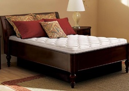 Sleep Number Waterbed Mattress Replacement picture