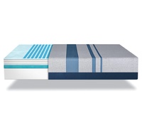 Serta iComfort Blue Max 1000 Cushion Firm picture