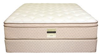 Serta Smart Choice Cecile Euro Top picture
