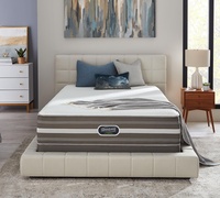 Simmons Beautyrest Recharge Hybrid Greenmont 13.5" Plush picture