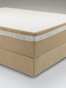 TEMPUR-Contour Rhapsody Breeze (2012) picture