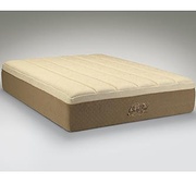 TEMPUR-Pedic GrandBed picture