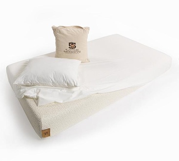 5 Little Monkeys Sleep System