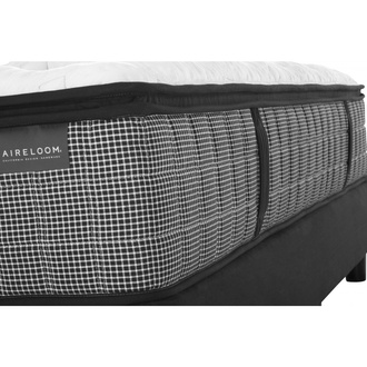 Aireloom Midnight Preferred Laguna Plush