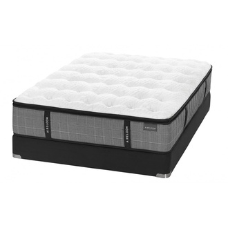 Aireloom Midnight Preferred Laguna Plush