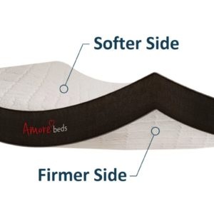 Amore 2-Sided 11" Flippable