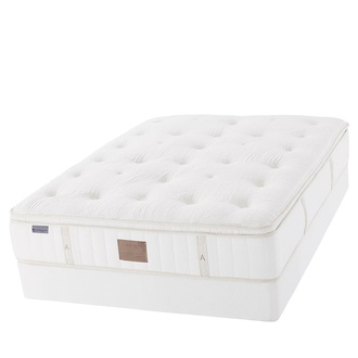 Asteria Artemis Pillow Top