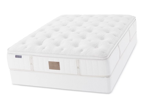 Asteria Evia Pillow Top