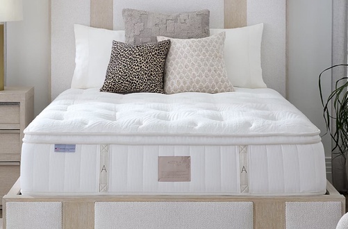 Asteria Evia Pillow Top