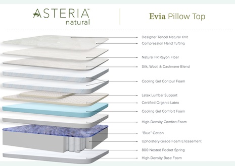 Asteria Evia Pillow Top