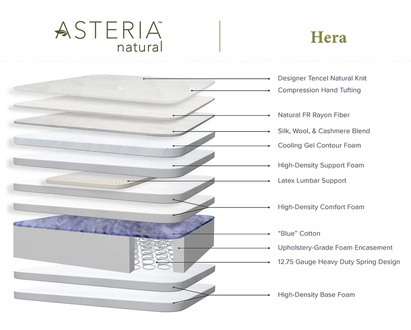 Asteria Hera Firm