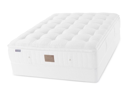 Asteria Phoebe Plush Euro Top
