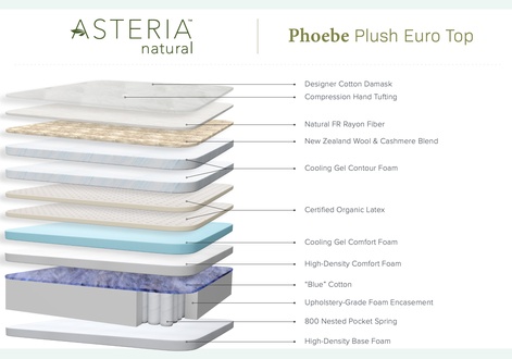 Asteria Phoebe Plush Euro Top