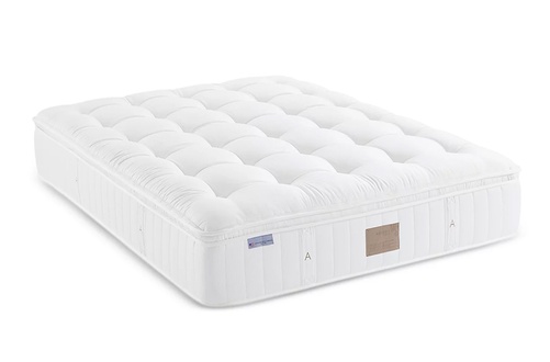 Asteria Phoebe Plush Euro Top