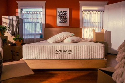 Avocado Eco Organic
