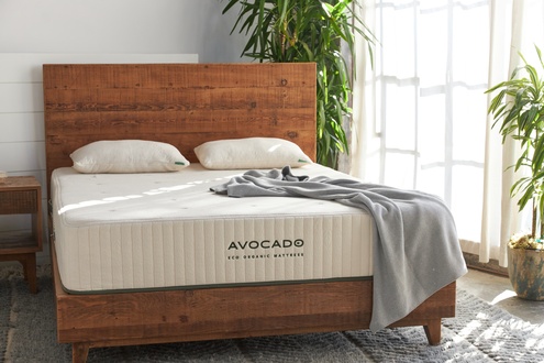 Avocado Eco Organic
