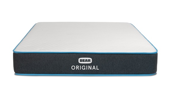 Bear Original