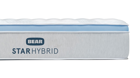 Bear Star Hybrid