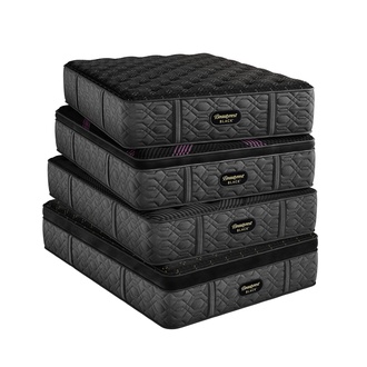 Beautyrest Black (Quilted)