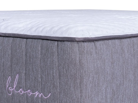 Brooklyn Bloom Hybrid Soft