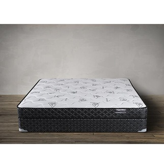 Contour Collection Kelly II