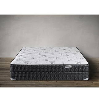 Contour Collection Kirsten