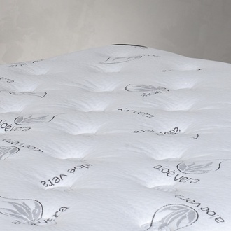 Contour Collection Madalyn