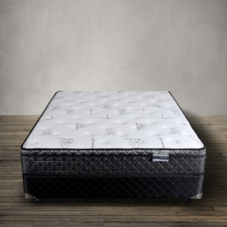 Contour Collection Madalyn