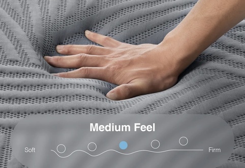 CoolNest Memory Foam