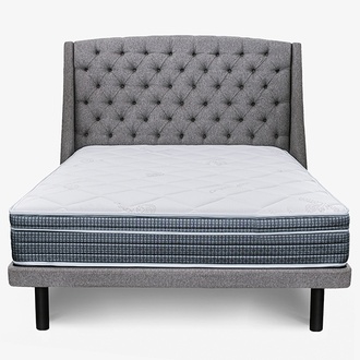 Distinction Series Lily