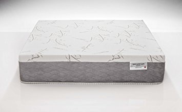 Dreamfoam Bedding 12"