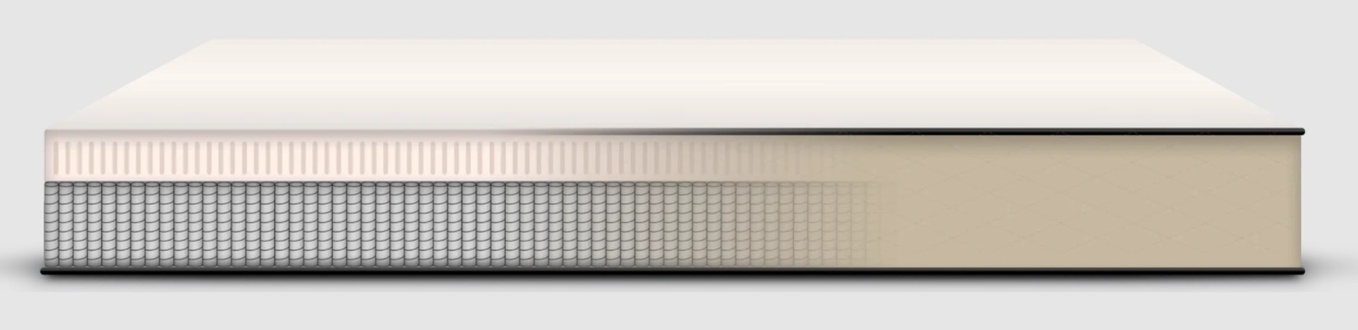 Dreamfoam Latex