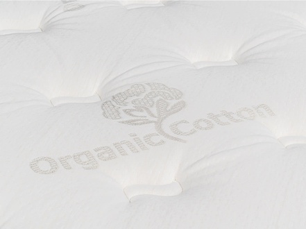 Dreamfoam Latex