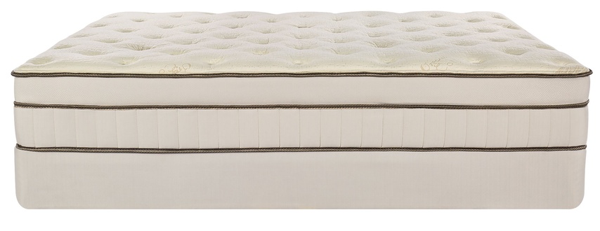 Englander Dreamer 100% Latex 10-Inch