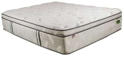 Homegrown Upland Euro Pillow Top