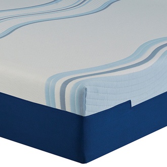 Lane  12"