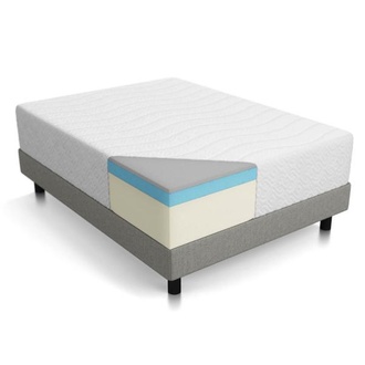 Lucid 14" Plush