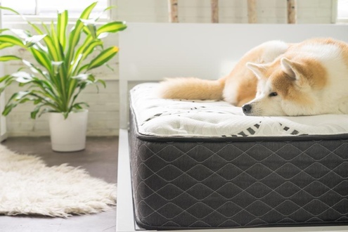 Luft Memory Foam