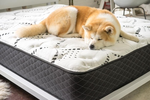 Luft Memory Foam