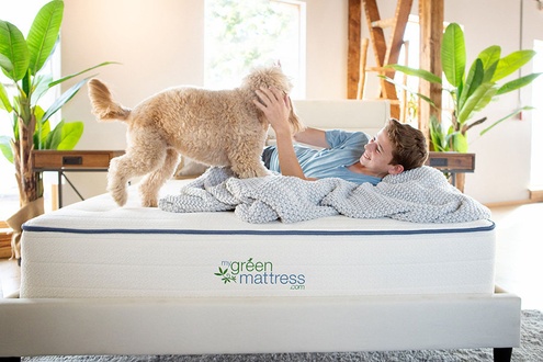 My Green Mattress Kiwi Organic