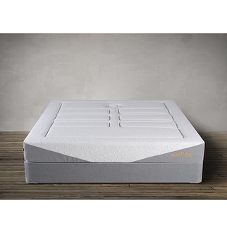 Natura Spinal Plus Latex Audelia