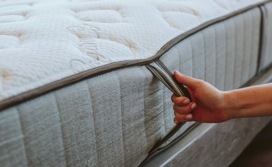 Nest Bedding Alexander Signature