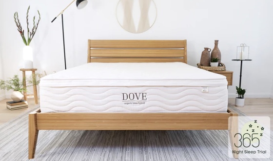 Nest Bedding Dove Organic Latex Hybrid