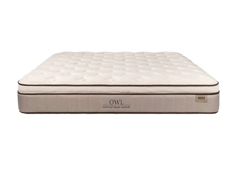 Nest Bedding Owl Latex Hybrid