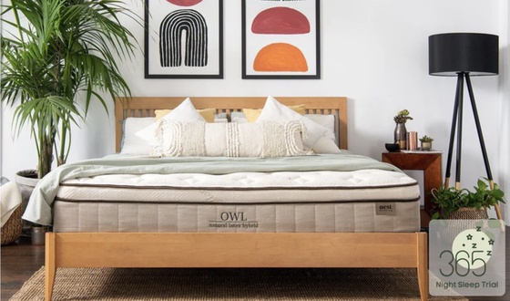 Nest Bedding Owl