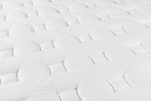 Nest Bedding Sparrow Signature Hybrid