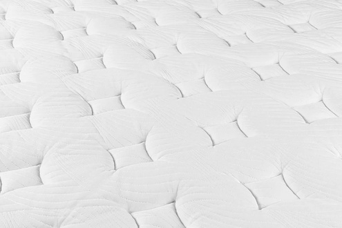 Nest Bedding Sparrow Signature Hybrid