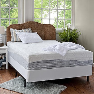 Night Therapy 12" Memory Foam