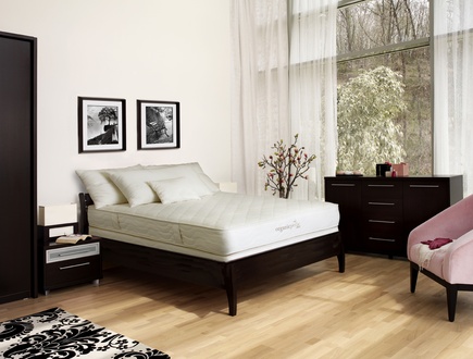 OrganicPedic Classic